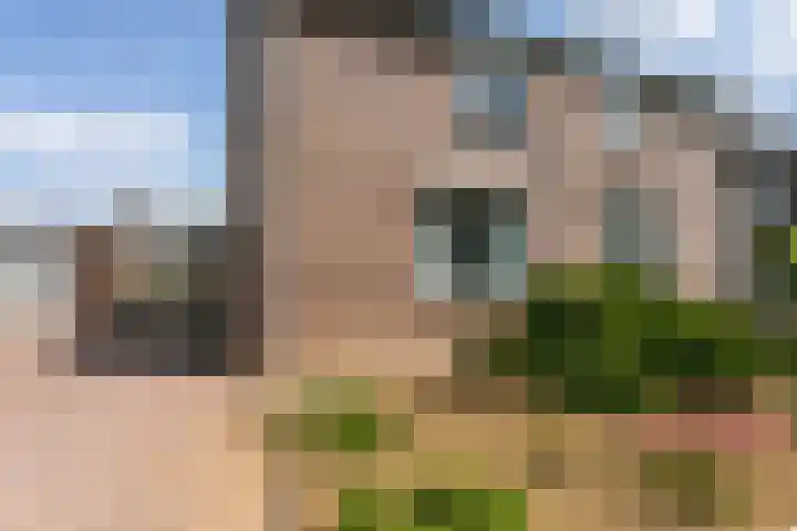 Eglantier 93 Brunssum thumbnail 39