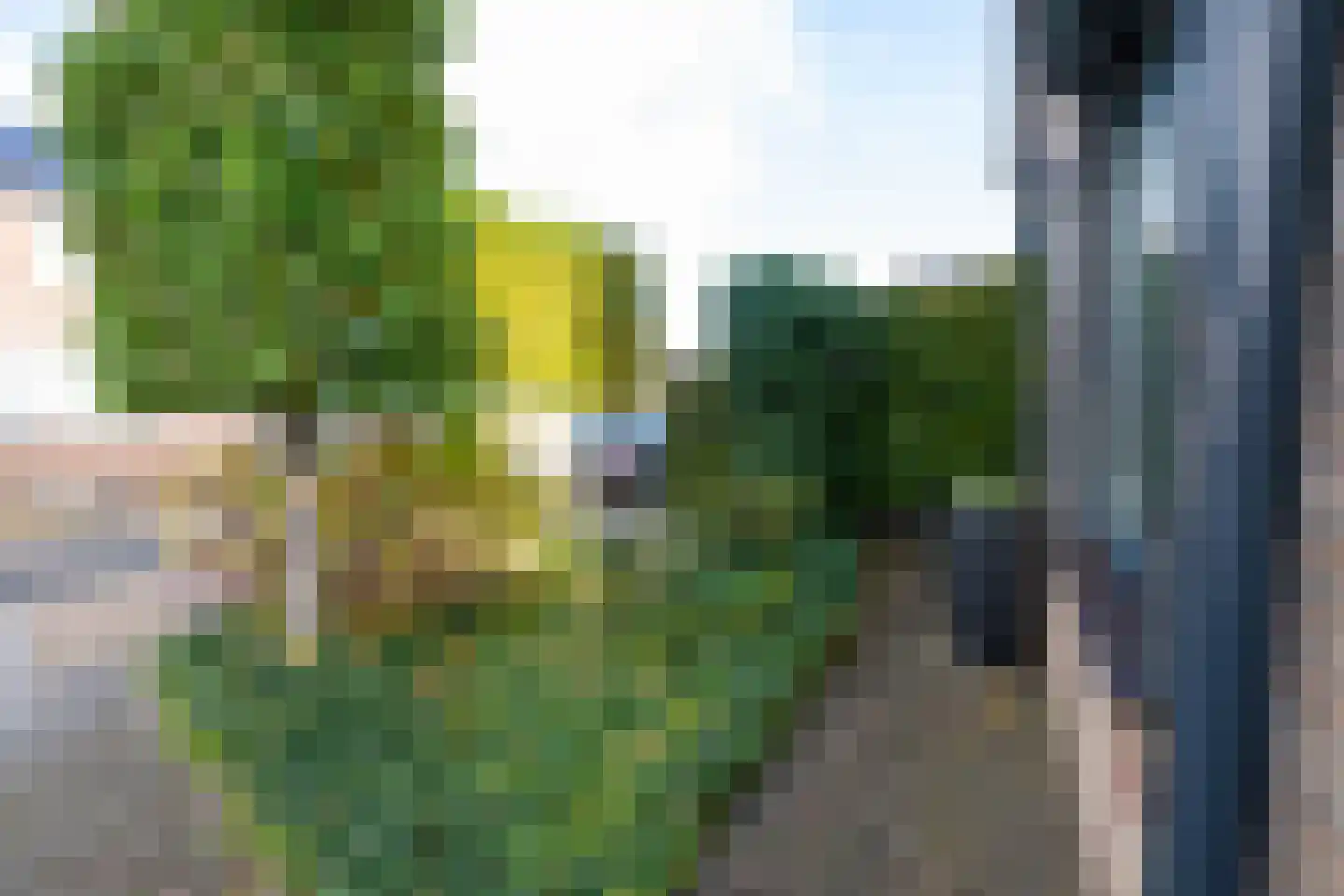 Eglantier 98 Brunssum thumbnail 11