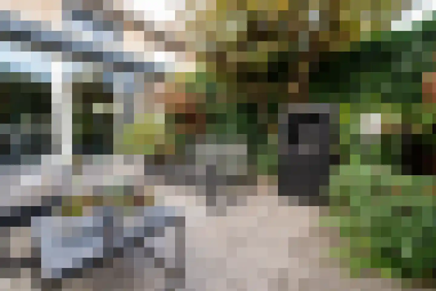 Eglantier 98 Brunssum thumbnail 15
