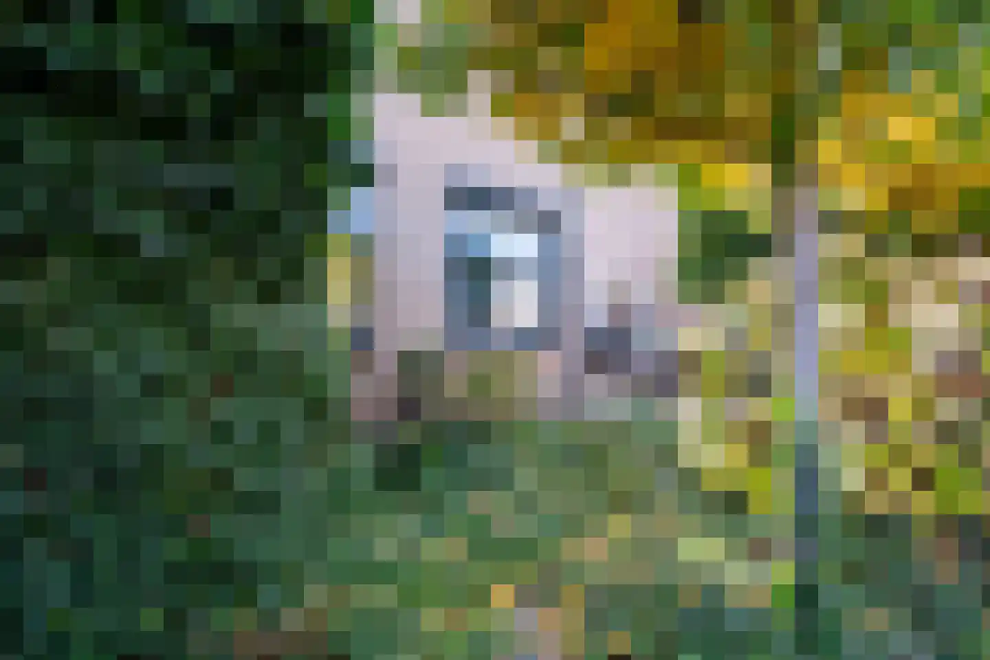 Eglantier 98 Brunssum thumbnail 5
