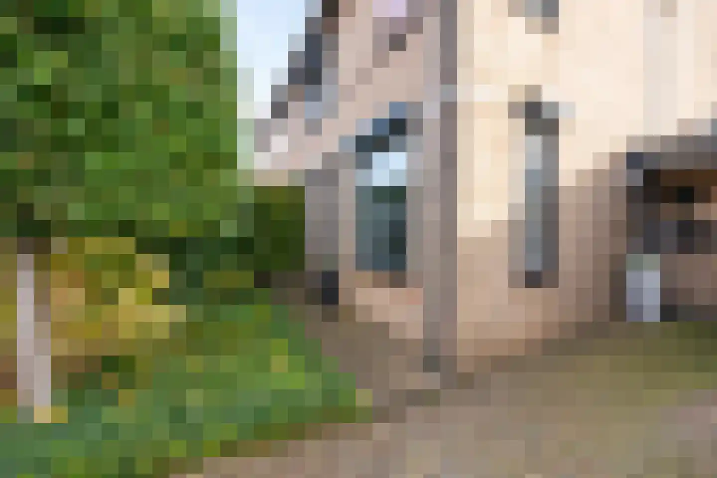 Eglantier 98 Brunssum thumbnail 6