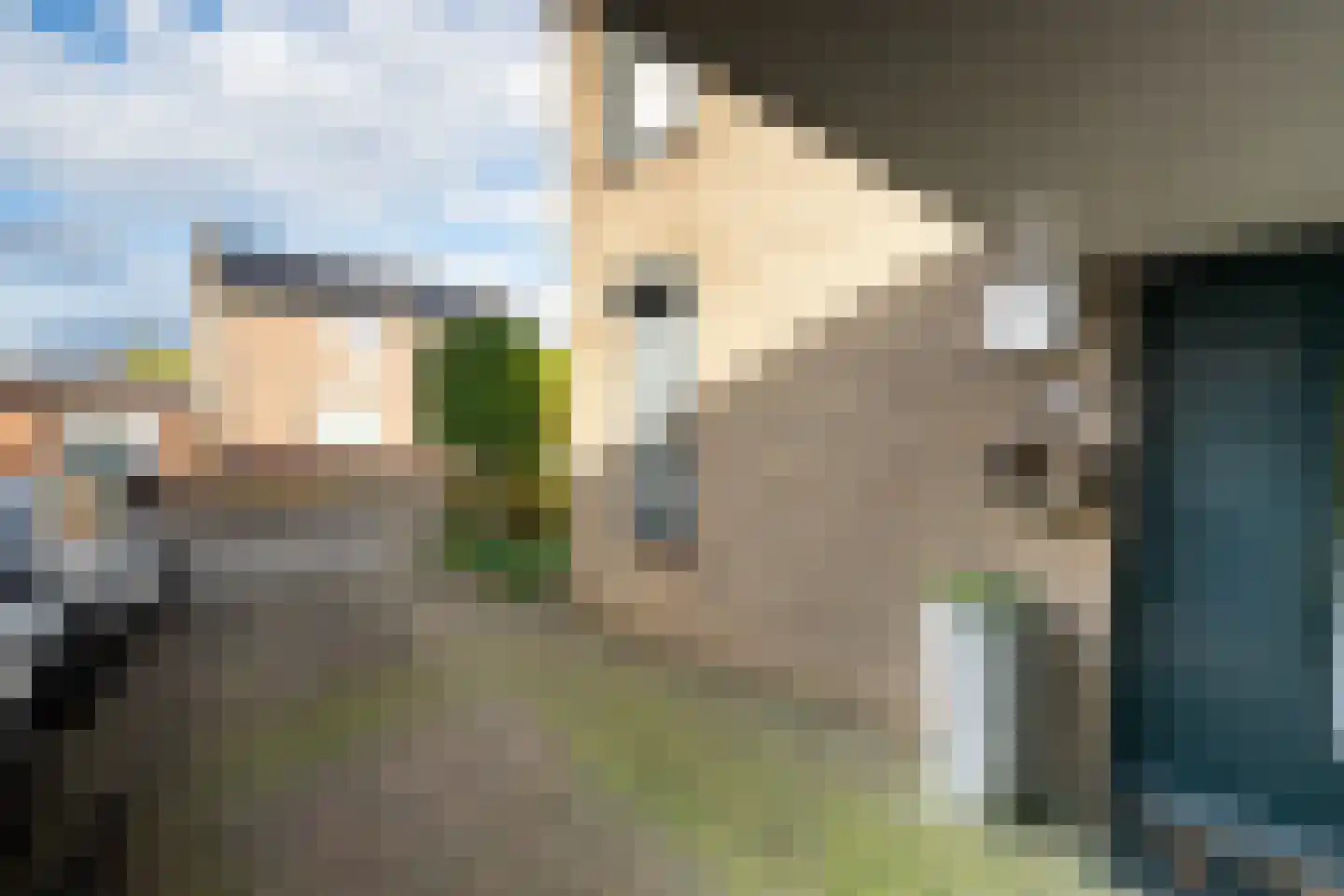 Eglantier 98 Brunssum thumbnail 9