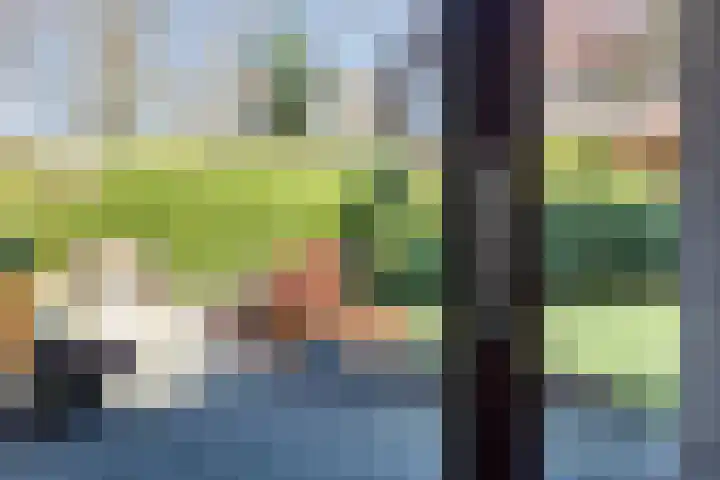 Eglantierhof 1 Roermond thumbnail 14