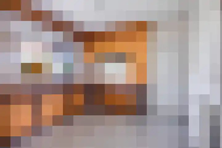 Eglantierhof 1 Roermond thumbnail 15
