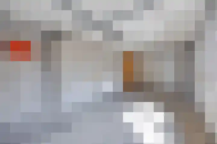 Eglantierhof 1 Roermond thumbnail 21
