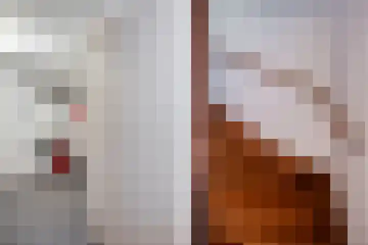 Eglantierhof 1 Roermond thumbnail 32