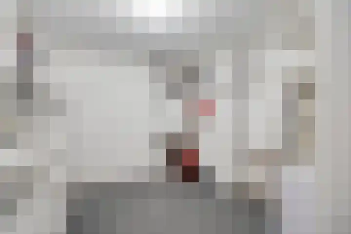 Eglantierhof 1 Roermond thumbnail 33