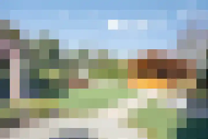 Eglantierhof 1 Roermond thumbnail 40
