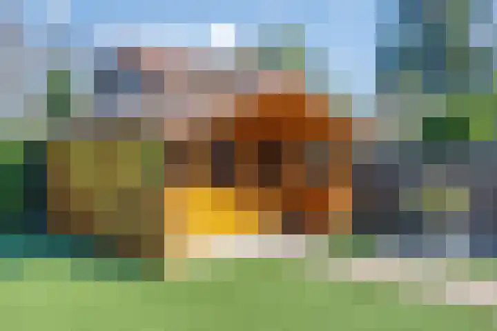 Eglantierhof 1 Roermond thumbnail 44