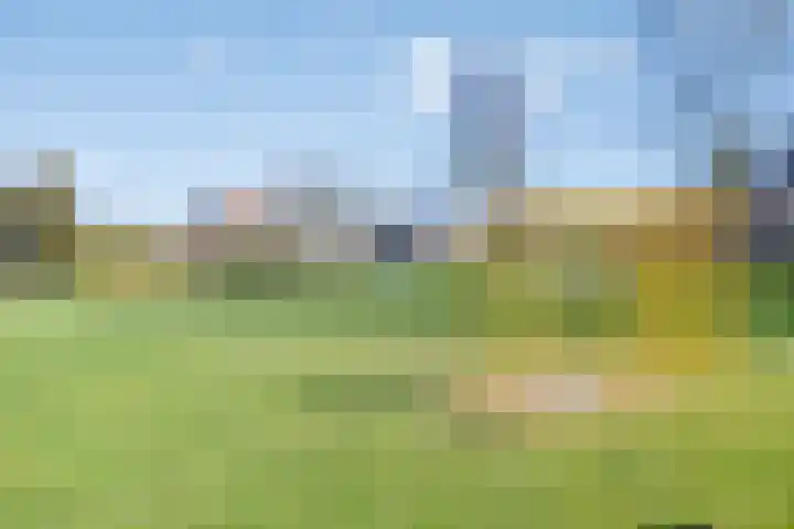Eglantierhof 1 Roermond thumbnail 49