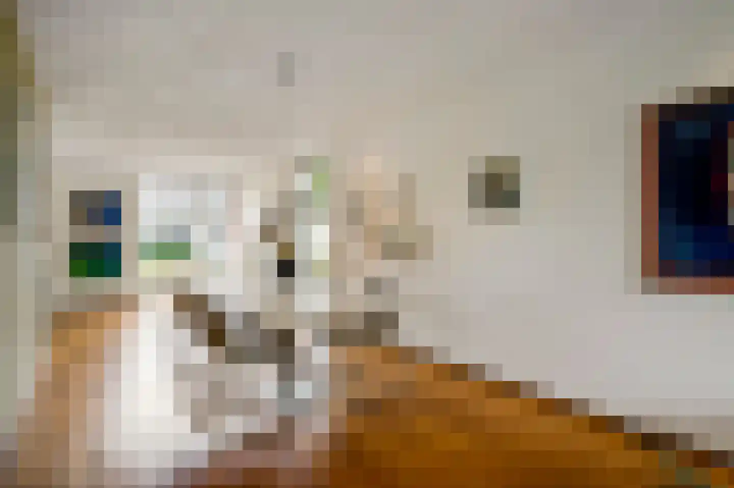 Eglantierhof 21 Roermond thumbnail 15