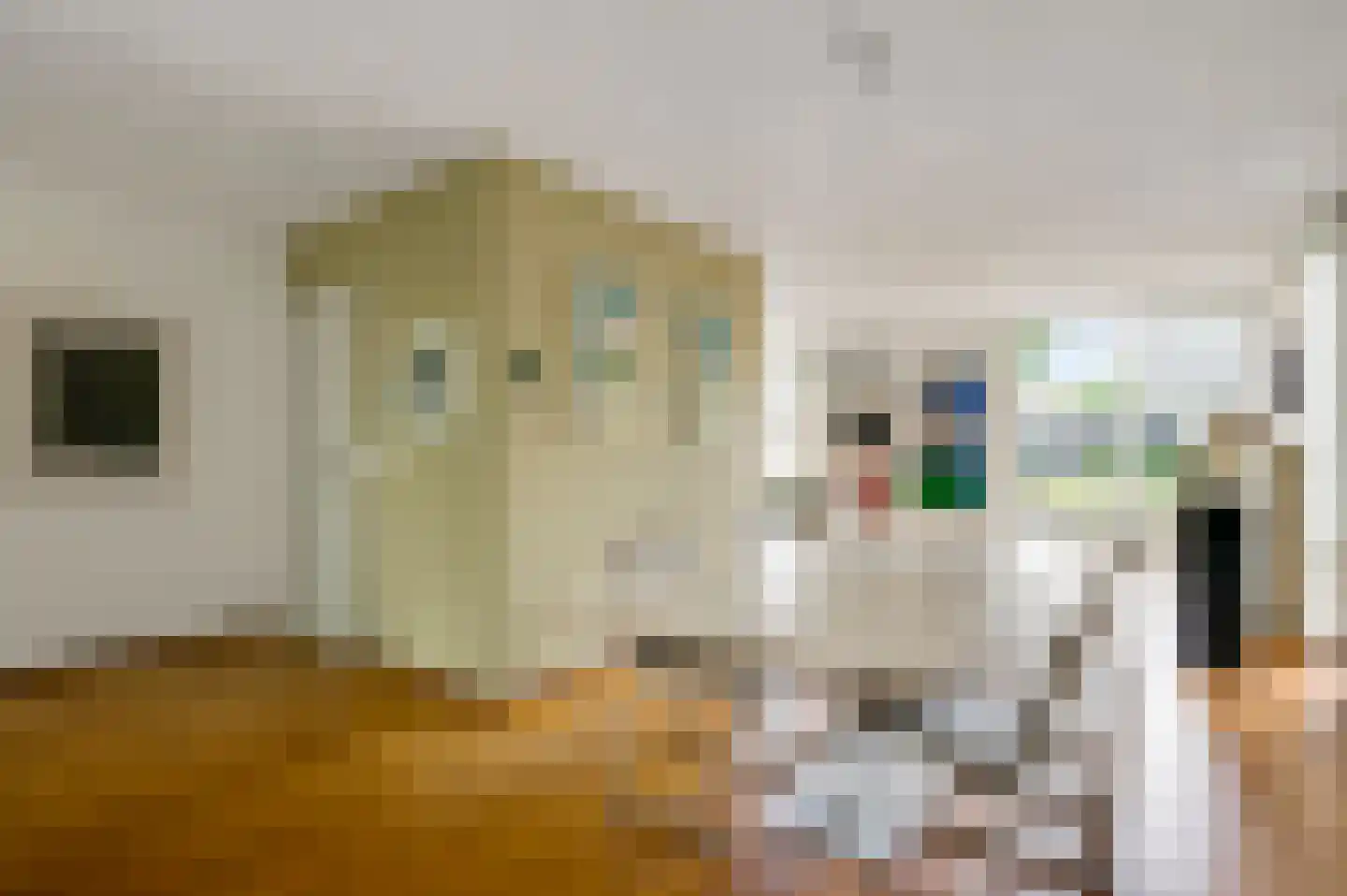 Eglantierhof 21 Roermond thumbnail 16