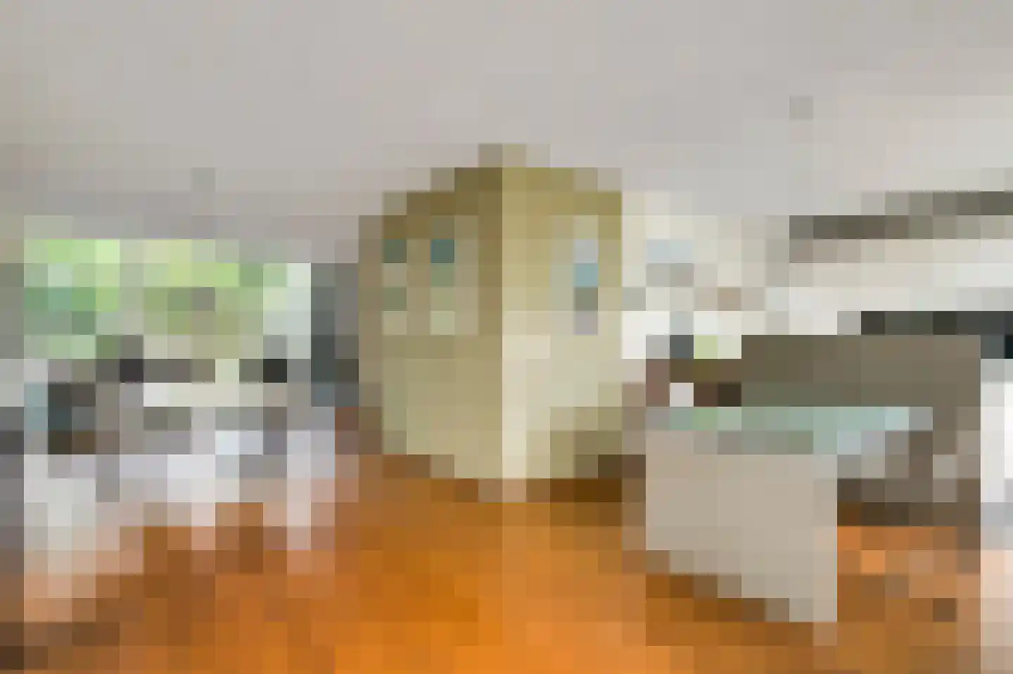 Eglantierhof 21 Roermond thumbnail 17