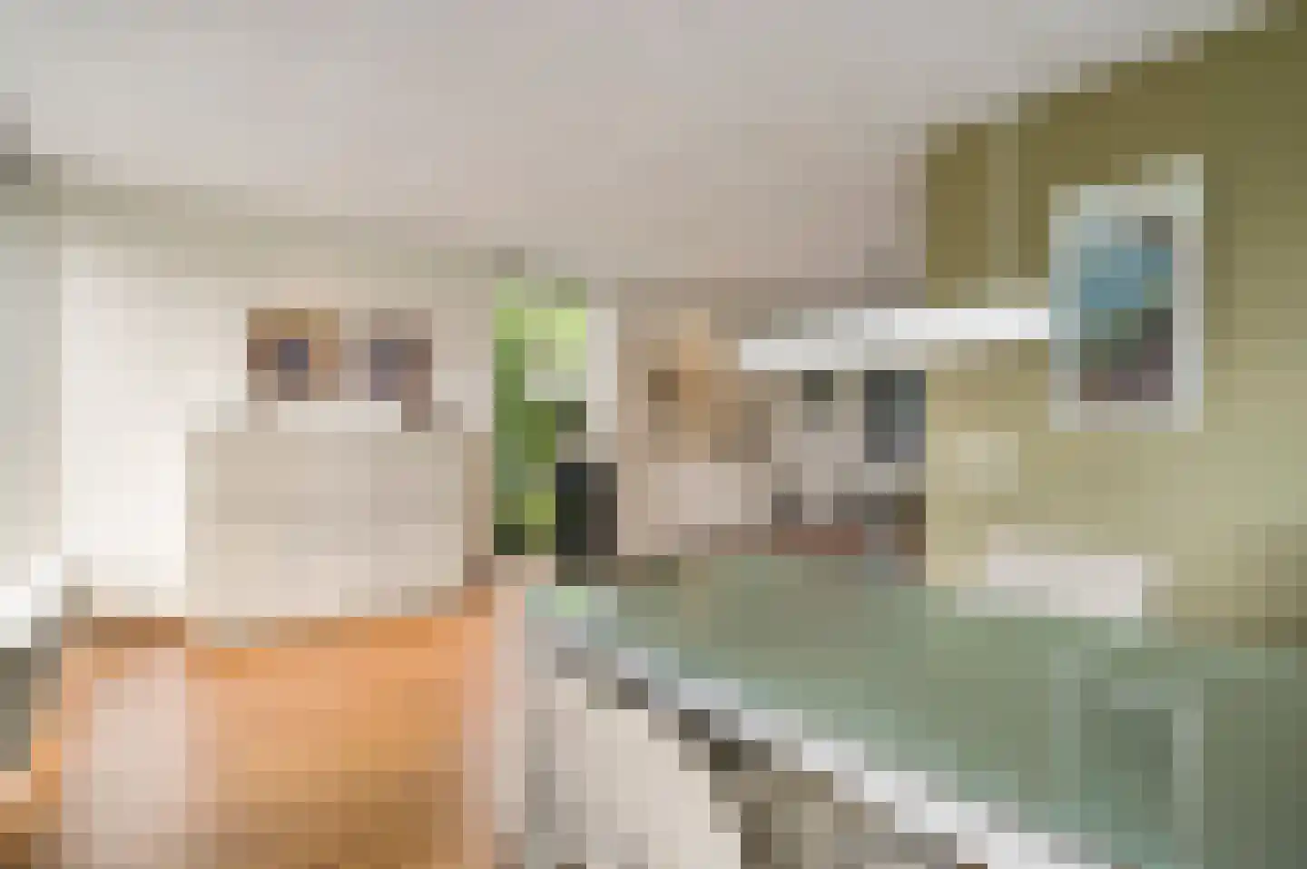Eglantierhof 21 Roermond thumbnail 19
