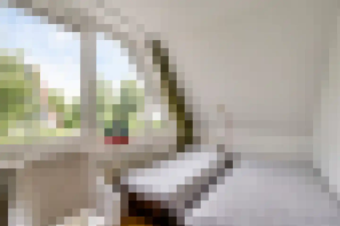Eglantierhof 21 Roermond thumbnail 27