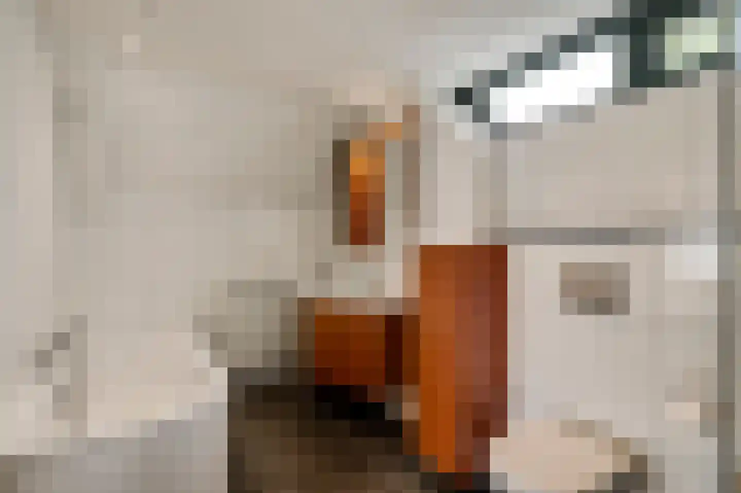 Eglantierhof 21 Roermond thumbnail 28