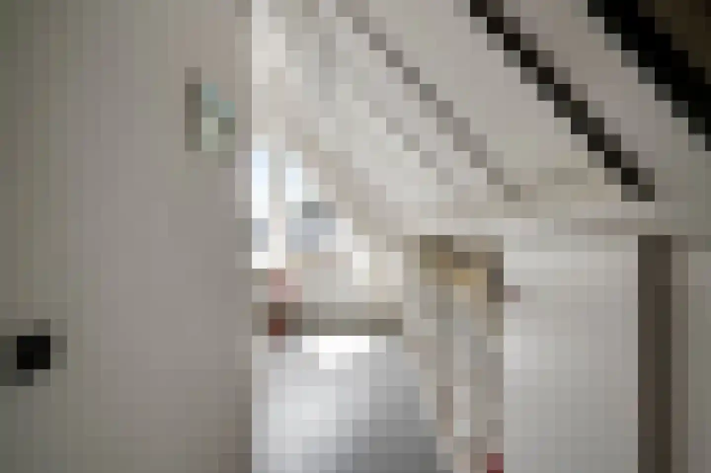 Eglantierhof 21 Roermond thumbnail 36
