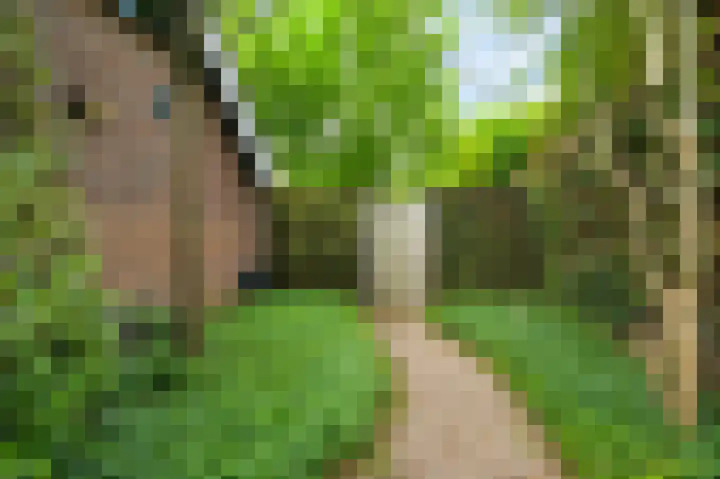 Eglantierhof 21 Roermond thumbnail 39