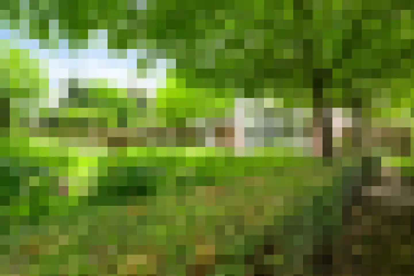 Eglantierhof 21 Roermond thumbnail 4