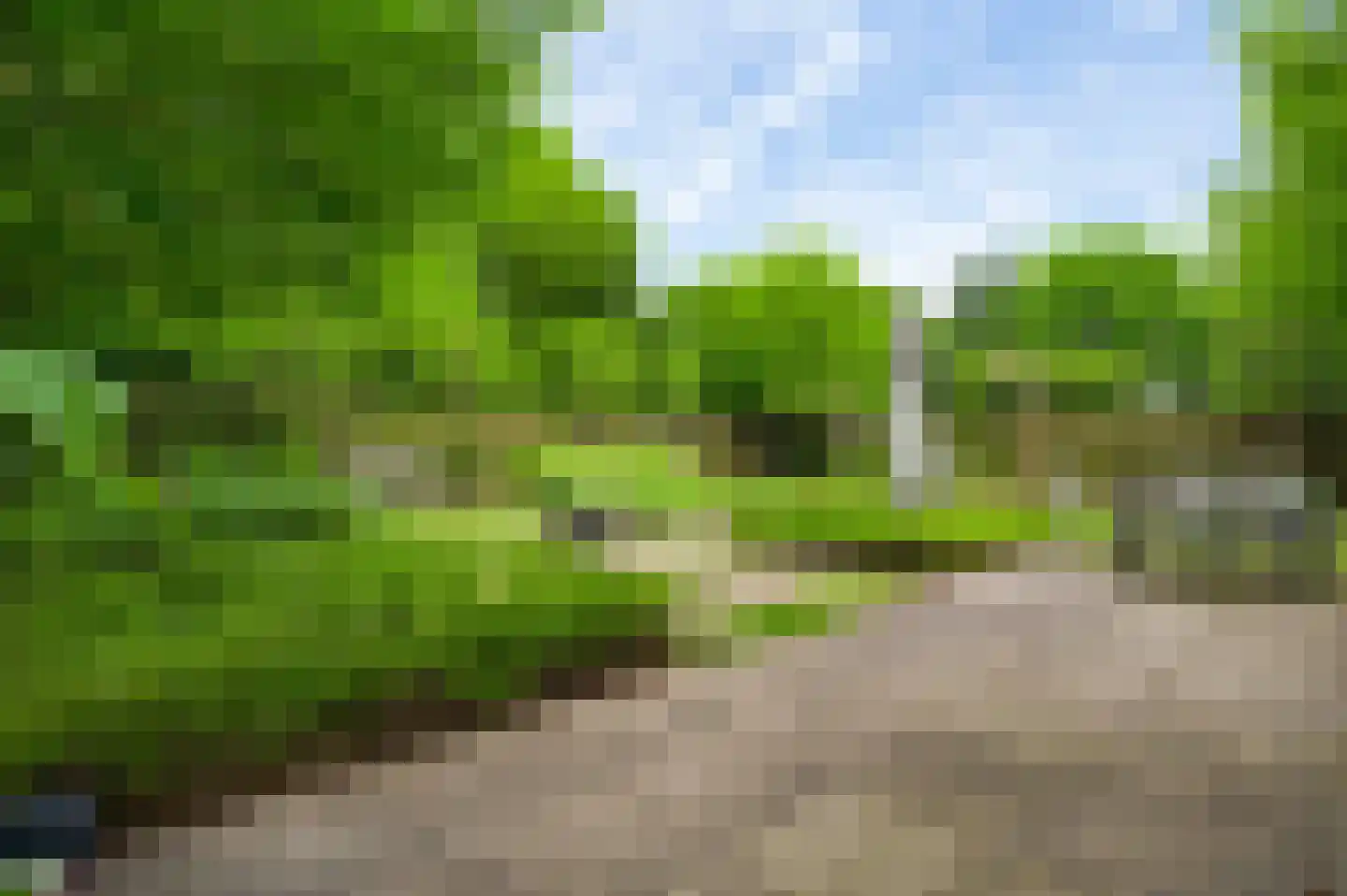 Eglantierhof 21 Roermond thumbnail 41