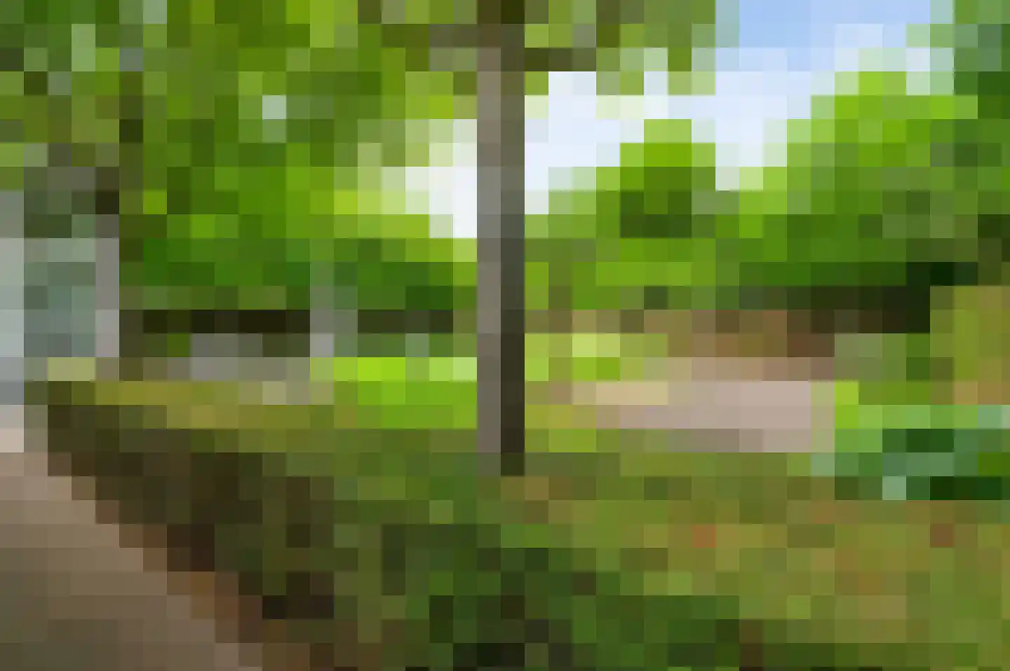 Eglantierhof 21 Roermond thumbnail 42