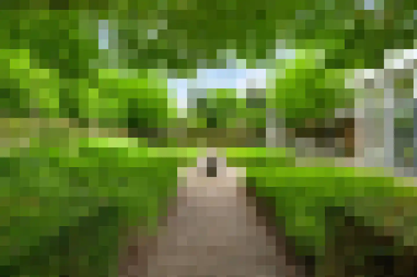 Eglantierhof 21 Roermond thumbnail 43
