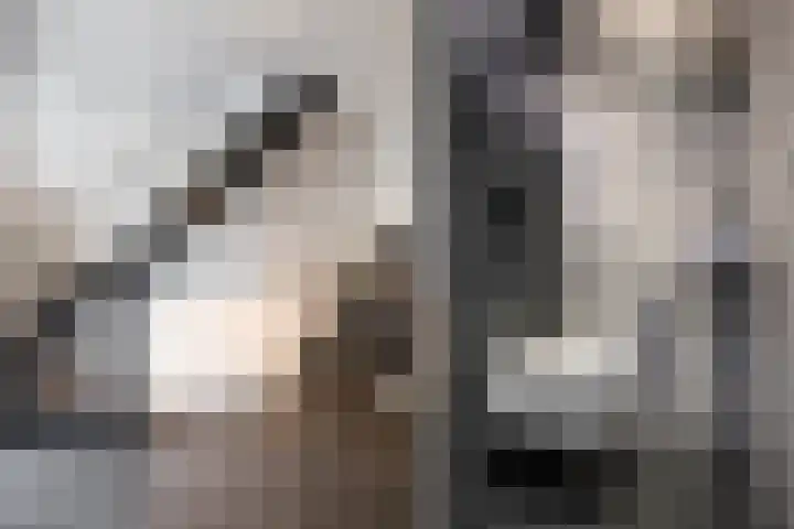 Eglantierhof 26 Roermond thumbnail 15