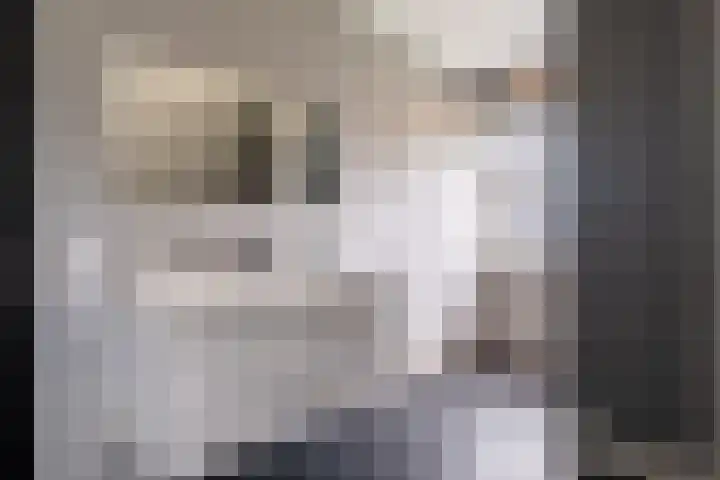 Eglantierhof 26 Roermond thumbnail 22