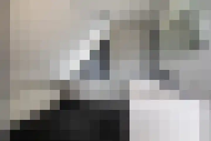 Eglantierhof 26 Roermond thumbnail 23