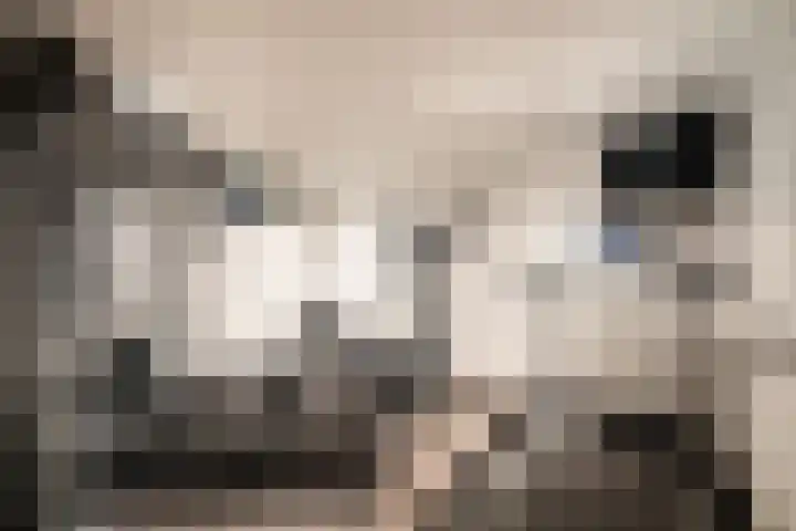 Eglantierhof 26 Roermond thumbnail 29