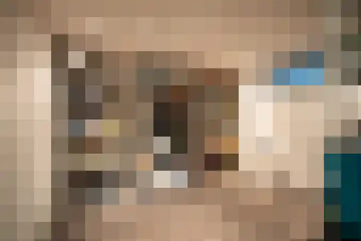 Eglantierhof 26 Roermond thumbnail 30