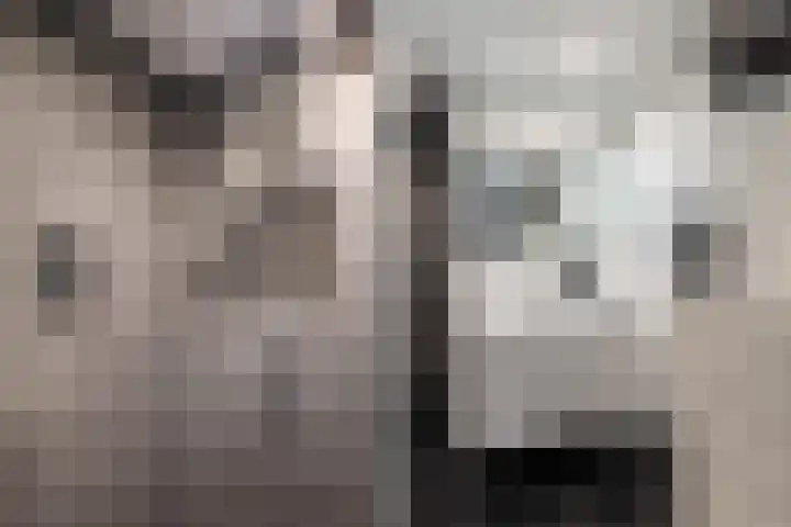 Eglantierhof 26 Roermond thumbnail 39