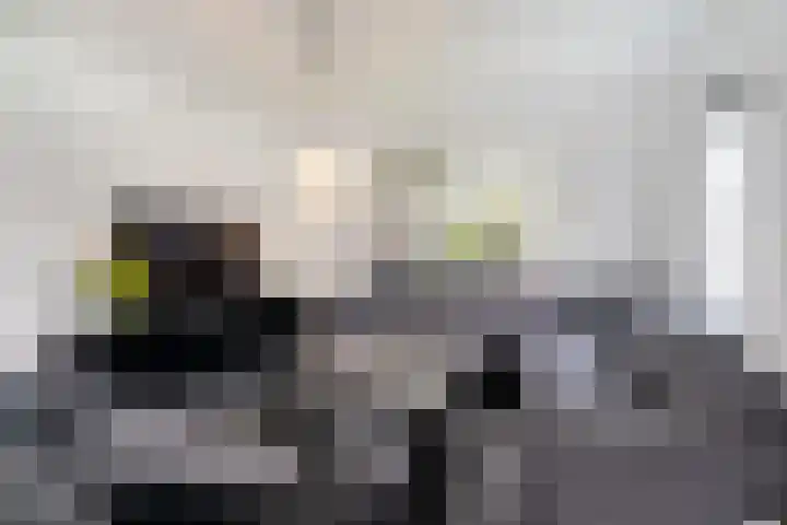 Eglantierhof 26 Roermond thumbnail 4