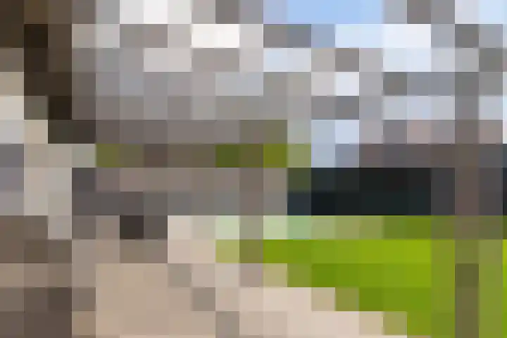 Eglantierhof 26 Roermond thumbnail 43