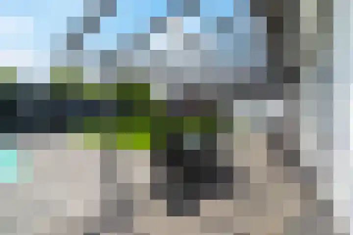 Eglantierhof 26 Roermond thumbnail 44