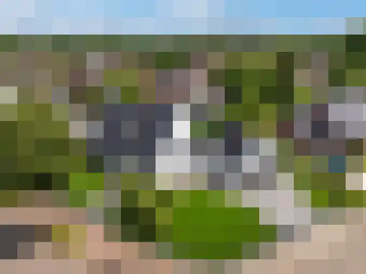 Eglantierhof 26 Roermond thumbnail 52