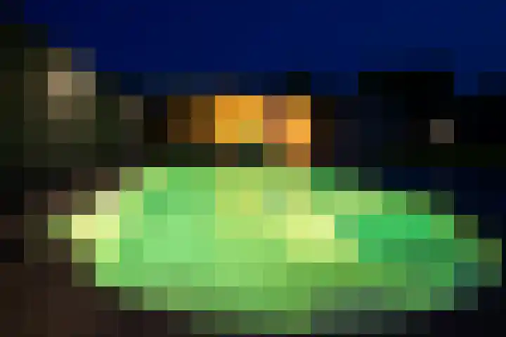 Eglantierhof 26 Roermond thumbnail 57
