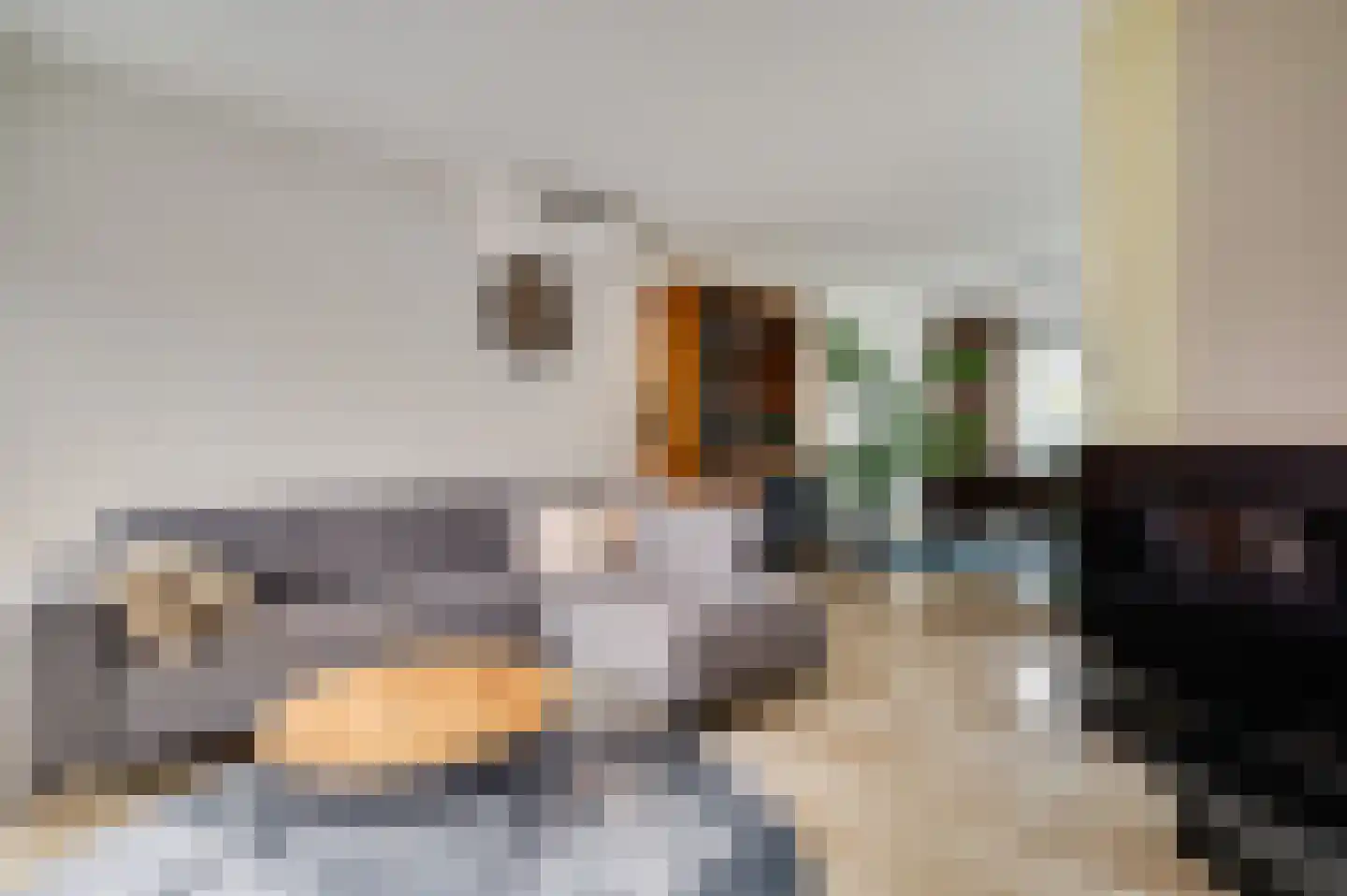 Eglantierhof 28 Roermond thumbnail 11