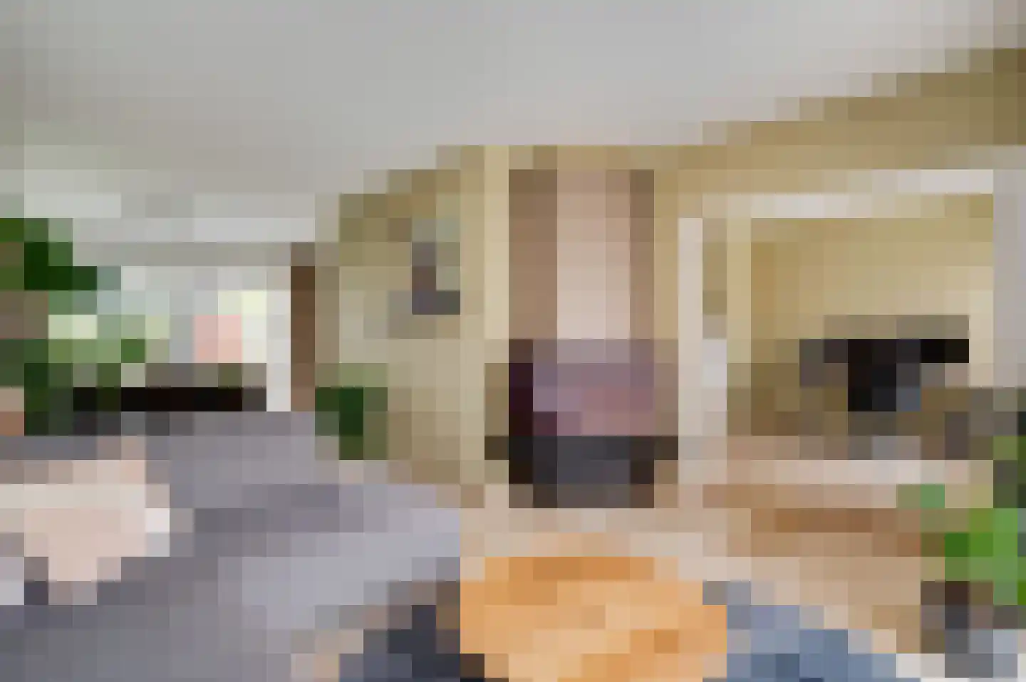 Eglantierhof 28 Roermond thumbnail 12