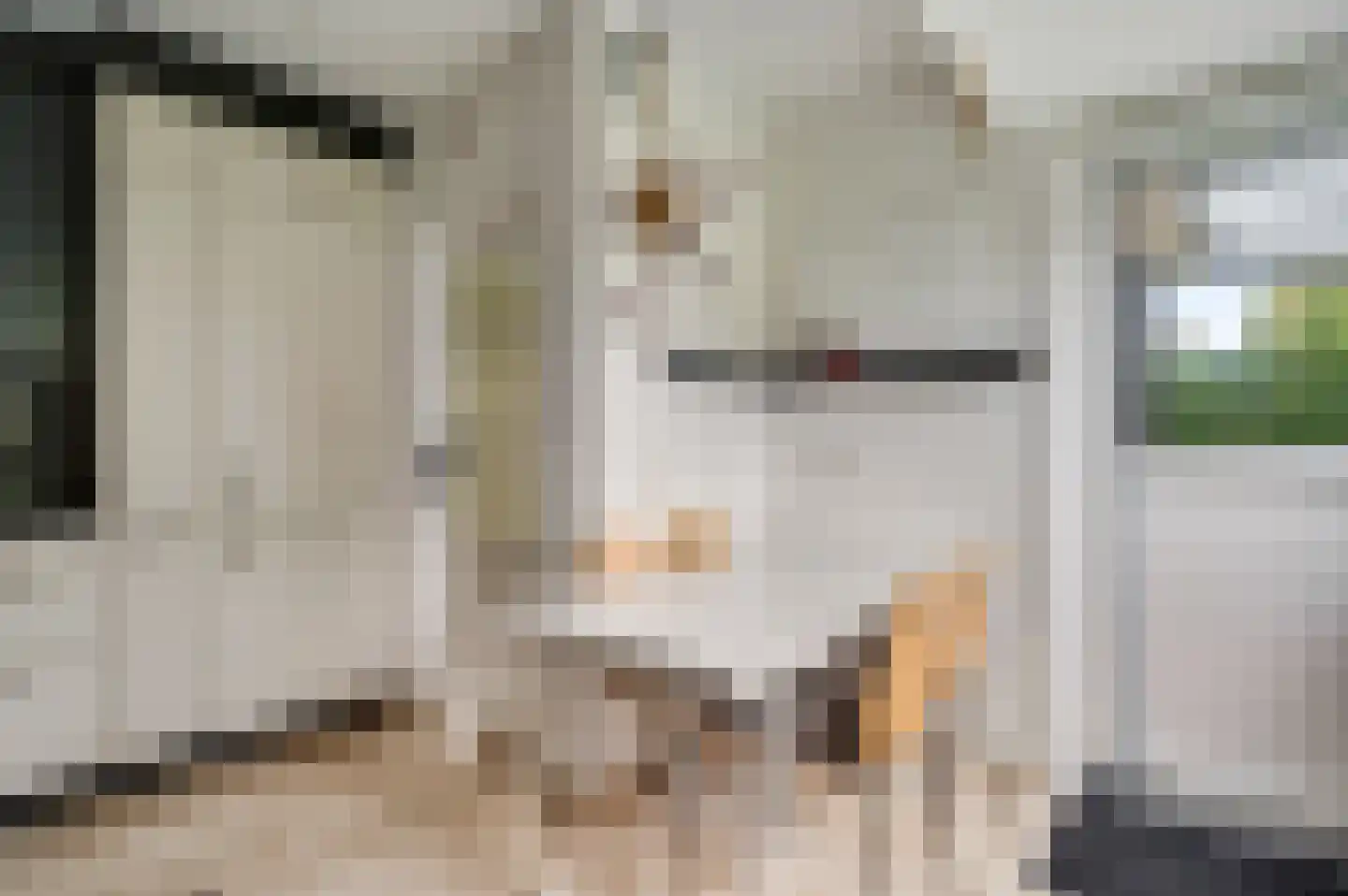 Eglantierhof 28 Roermond thumbnail 16