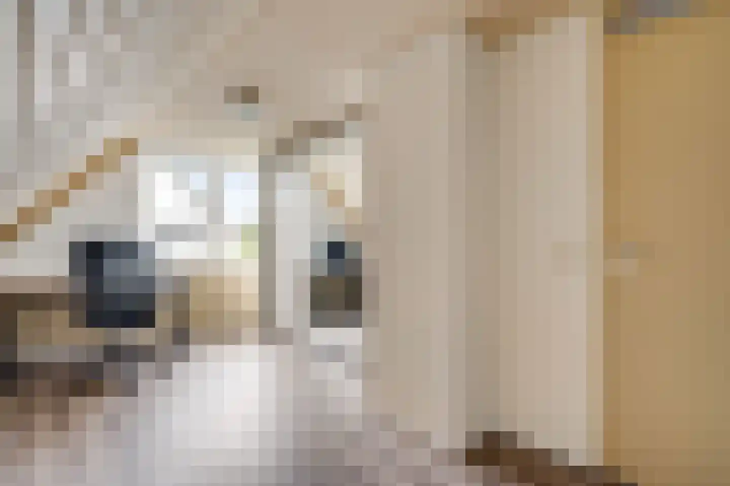 Eglantierhof 28 Roermond thumbnail 29