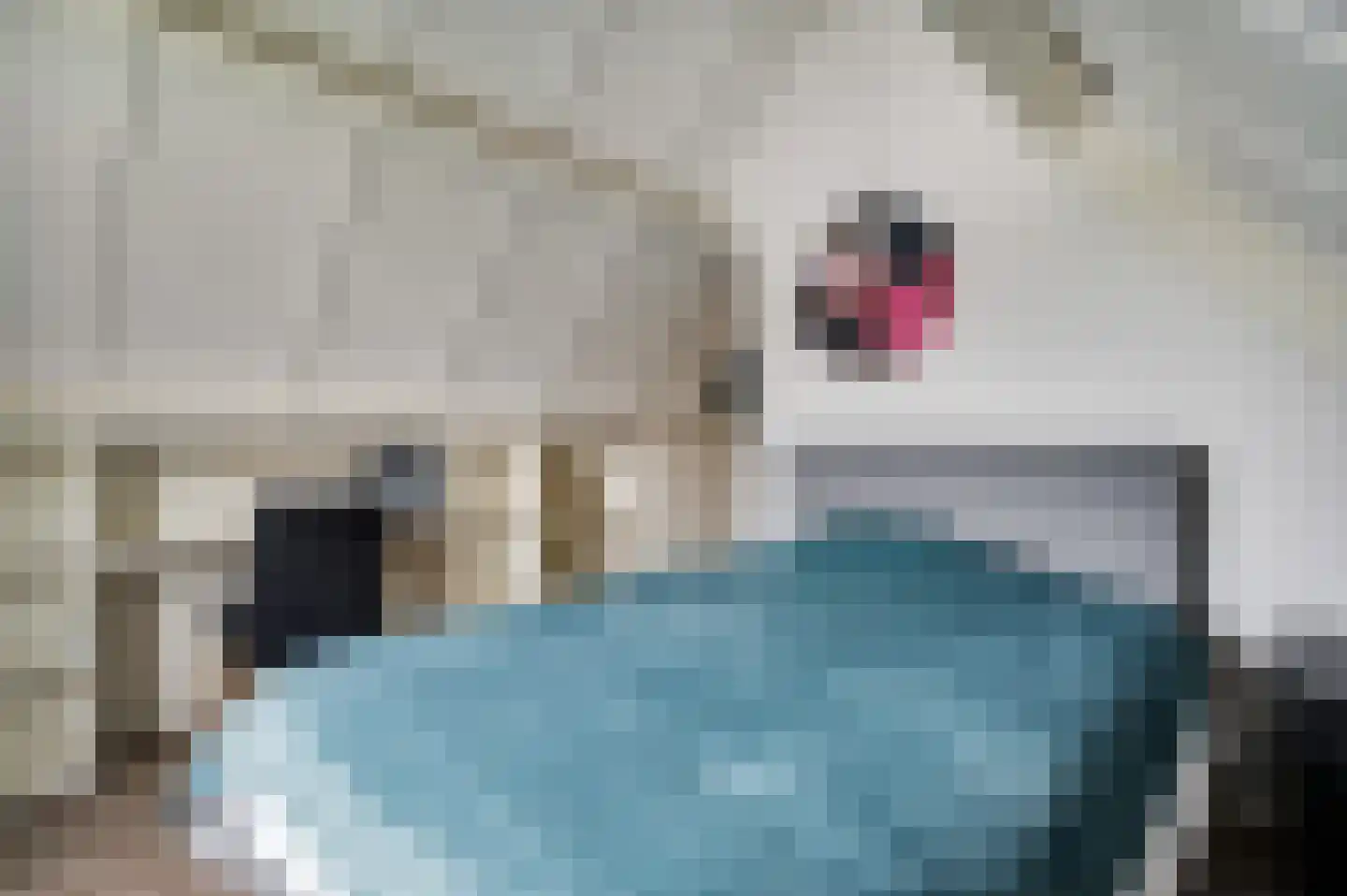 Eglantierhof 28 Roermond thumbnail 33