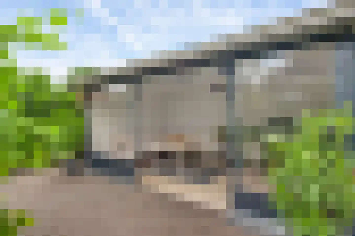 Eglantierhof 28 Roermond thumbnail 37