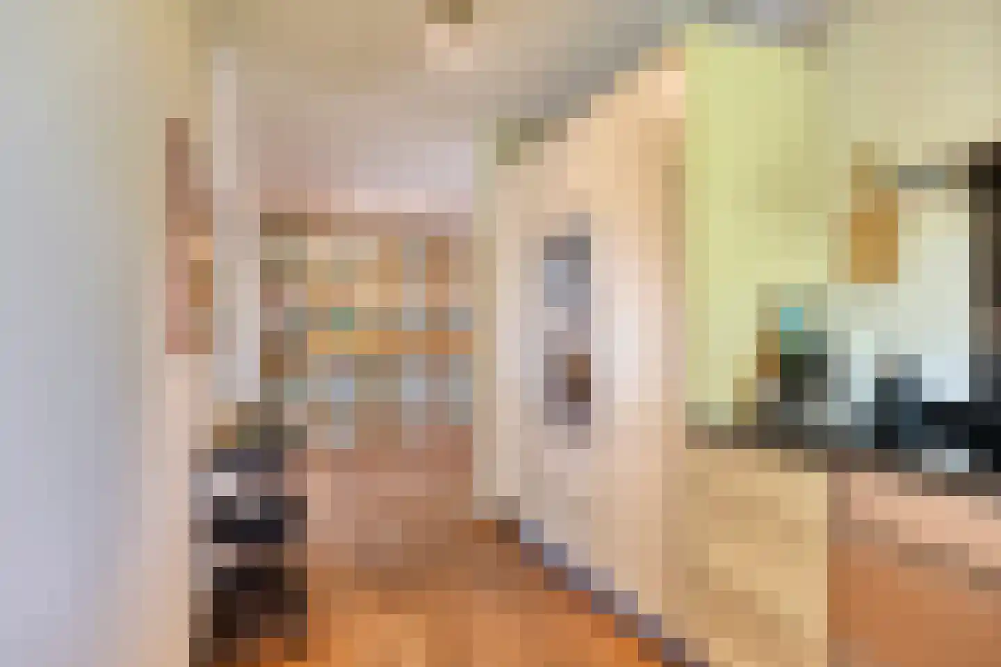 Eglantierhof 34 Roermond thumbnail 21