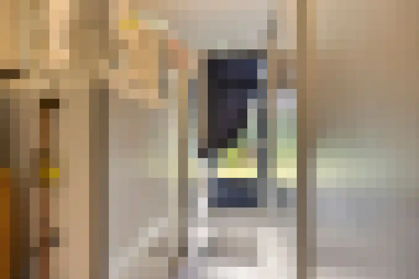 Eglantierhof 34 Roermond thumbnail 25