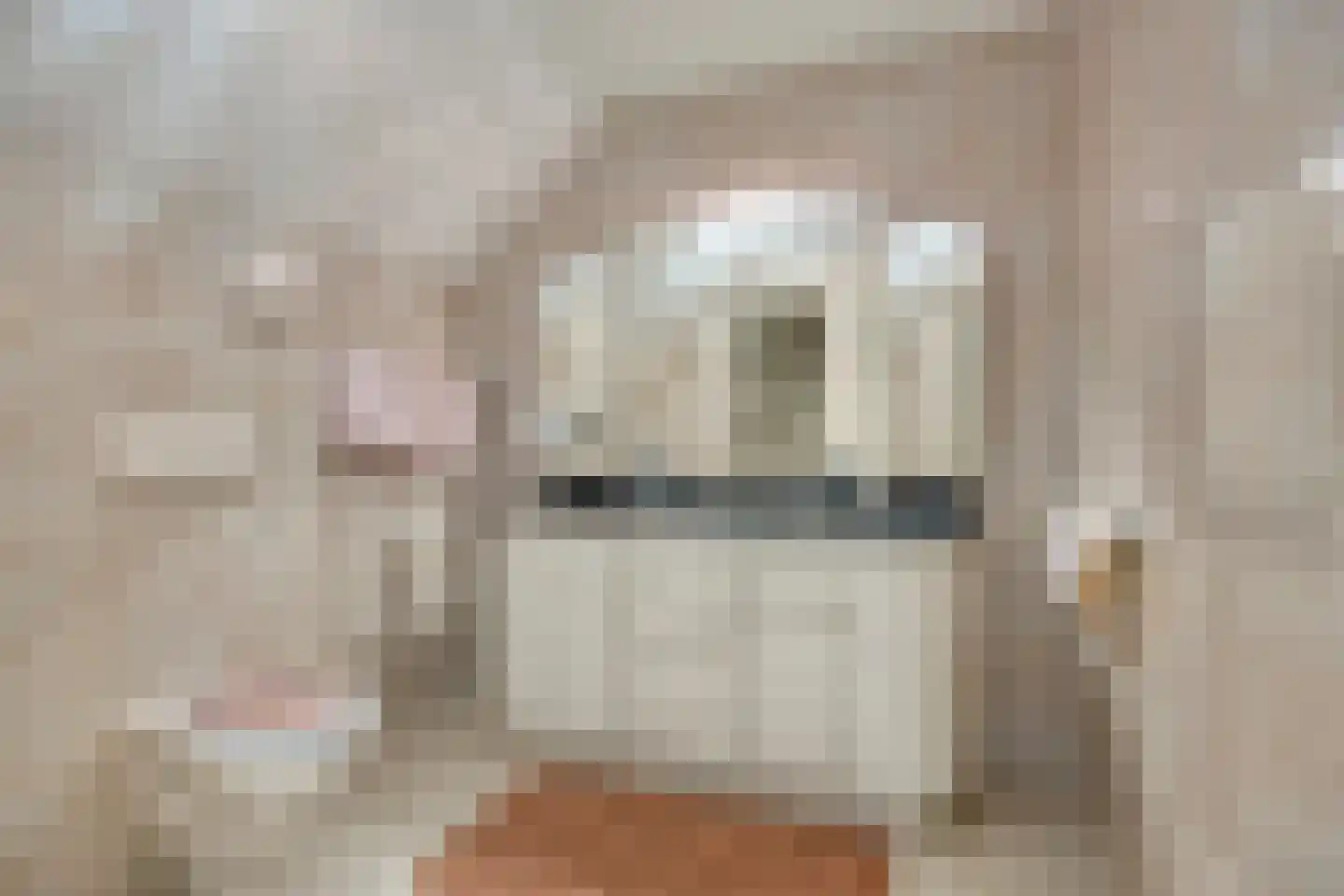Eglantierhof 34 Roermond thumbnail 30