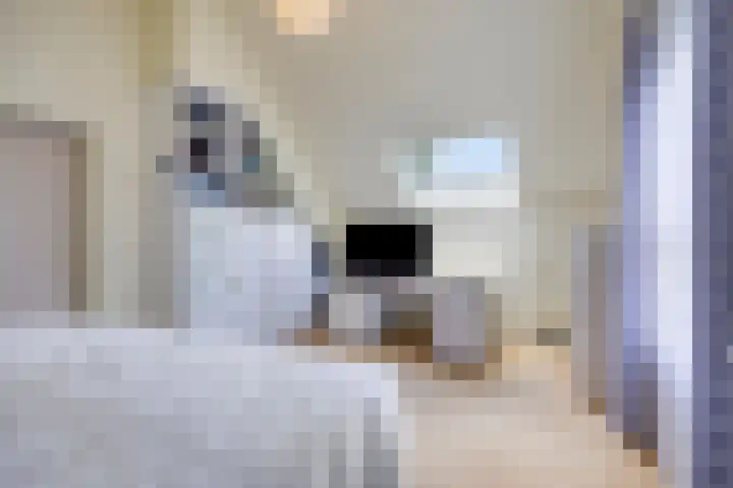 Eglantierhof 34 Roermond thumbnail 39