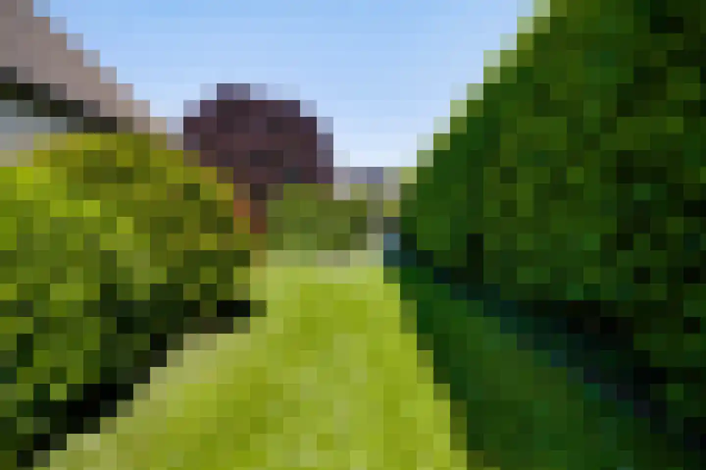Eglantierhof 34 Roermond thumbnail 53