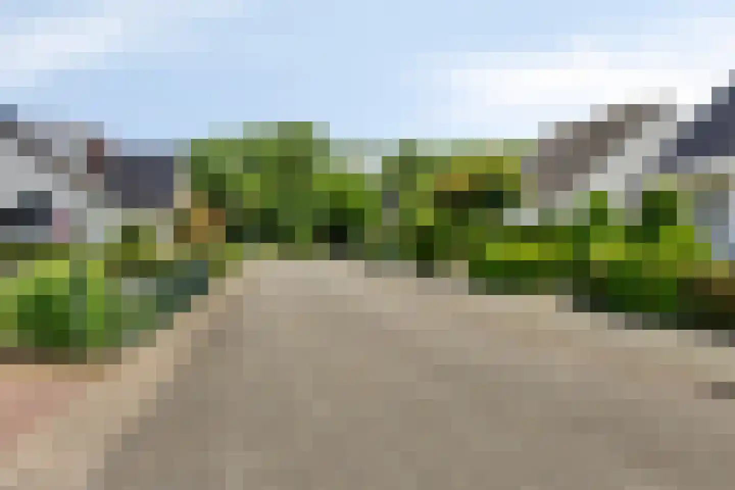 Eglantierhof 34 Roermond thumbnail 57