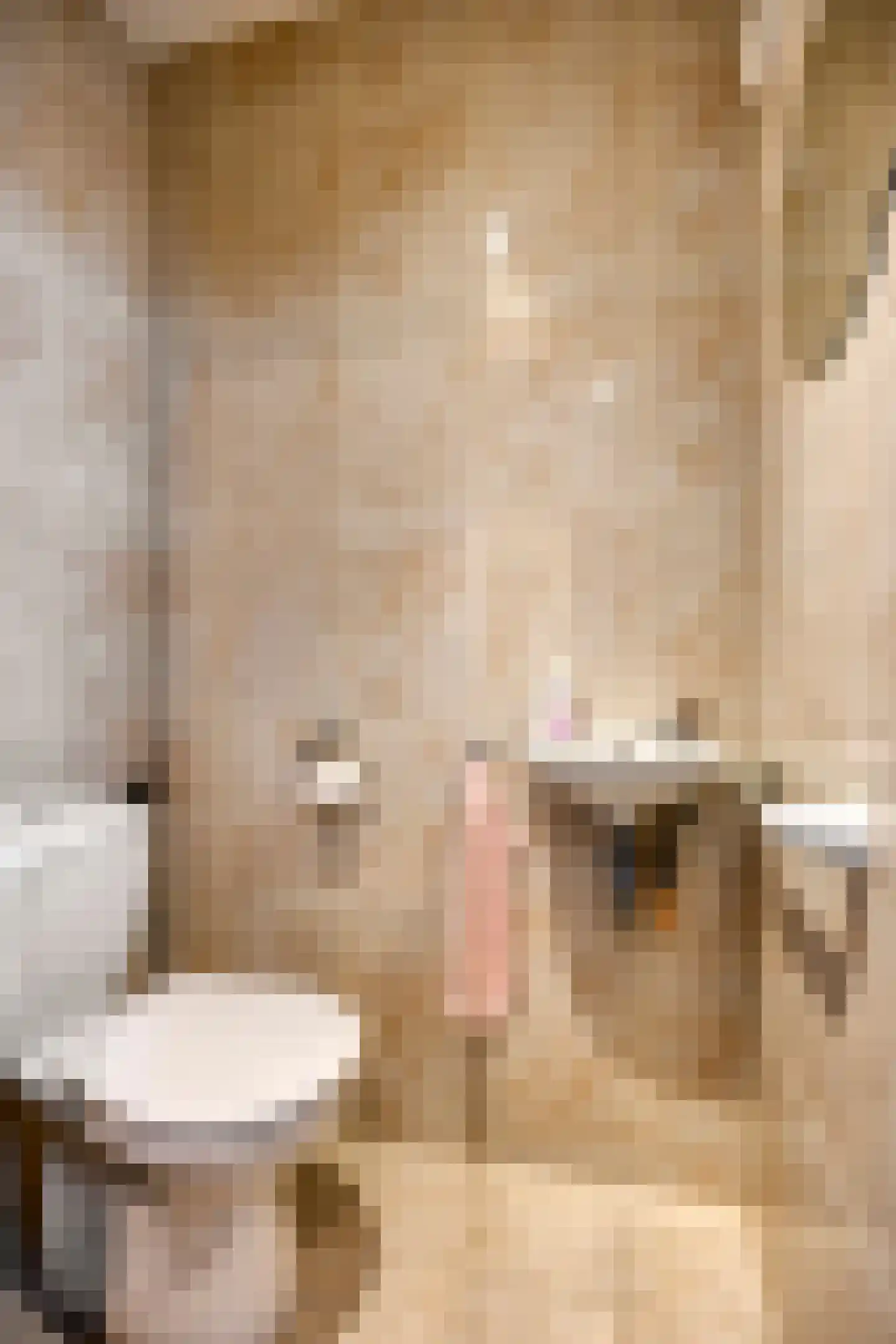 Eglantierhof 34 Roermond thumbnail 7